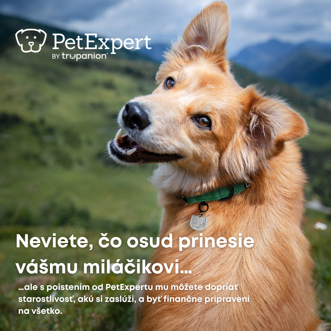 Neváhajte nás kontaktovať pre viac informácií o službách