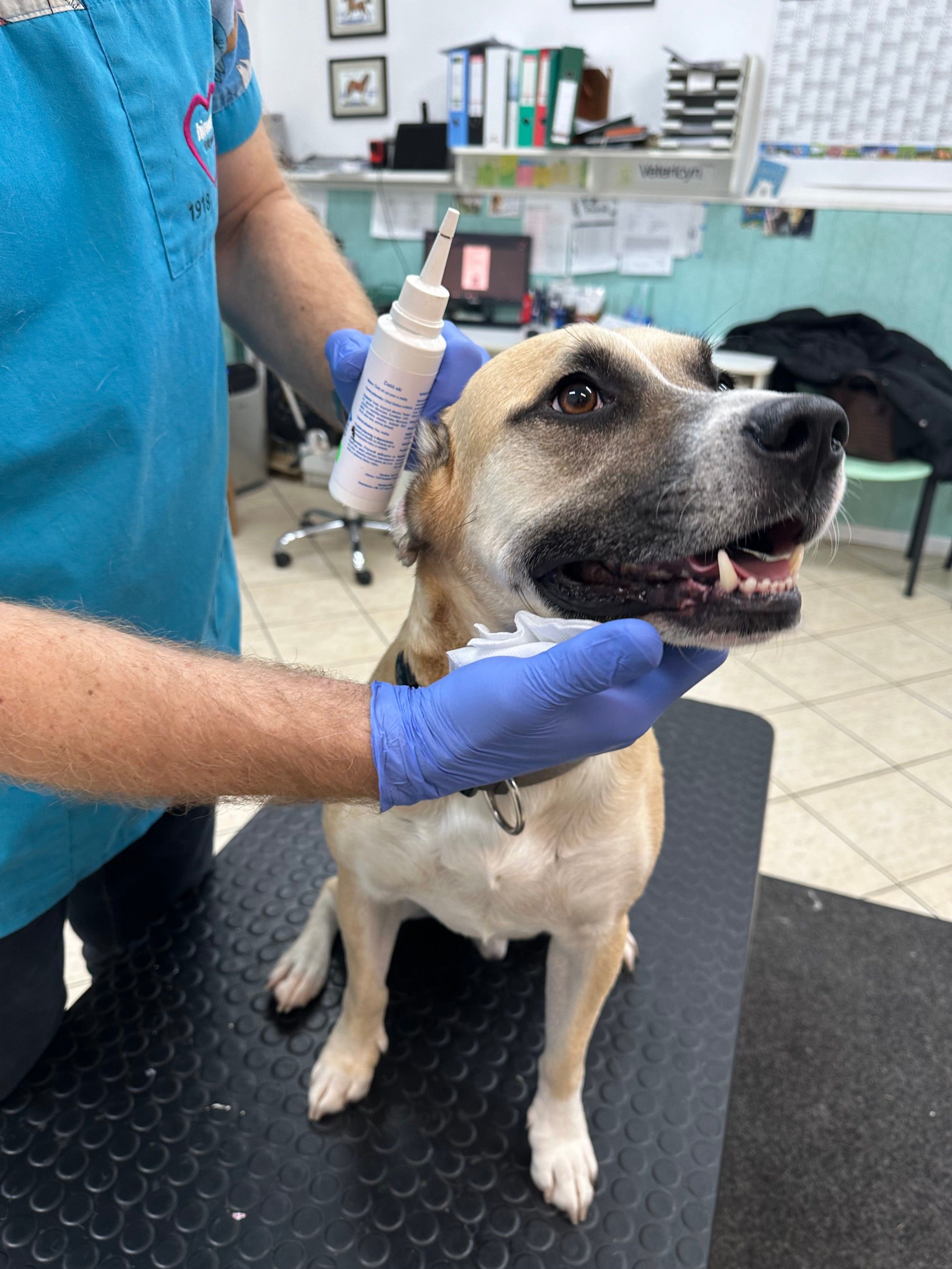 Prečo si vybrať práve nás