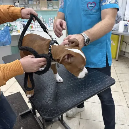 Prehliadky a zákroky